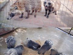 -武汉紫薇都市田园