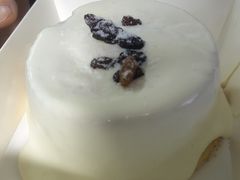 -糕小爱动物奶油生日蛋糕定制(晋江万达店)