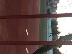 -卜蜂莲花(辽阳西路店)