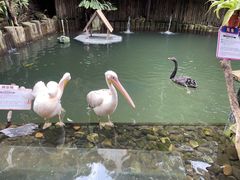 -海南槟榔谷黎苗文化旅游区