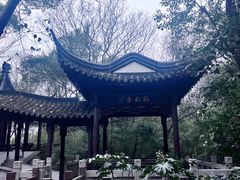 -上海佘山国家森林公园天马山园