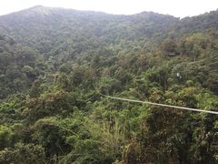 -清迈丛林飞跃 JungleFlight