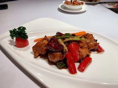 -新同乐鱼翅酒家(美丽华店)