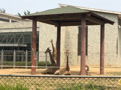 -石家庄市动物园