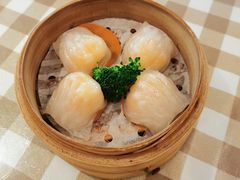 w大咀招牌虾饺皇-新大咀港式茶餐厅(宝山万达店)