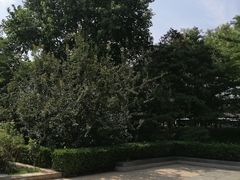-元大都城垣遗址公园