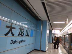 -大龙山(地铁站)