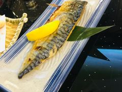 -真剑日本料理·铁板烧(贵州路店)