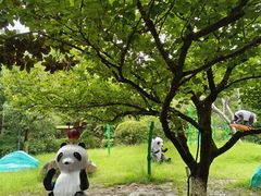 -白马涧龙池景区