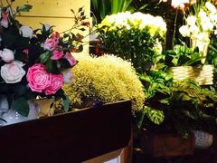 -春暖花开(西溪店)
