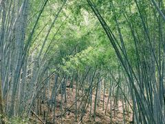 -东钱湖旅游度假区