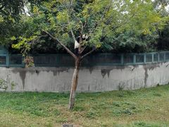 -石家庄市动物园