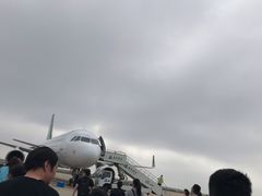 -上海浦东国际机场-T2航站楼