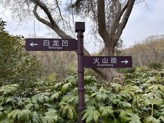 -南京市江宁方山