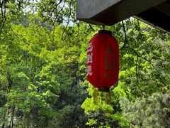 -巴倒烫陆派火锅山庄(南山总店)