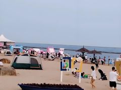 -碧海金沙