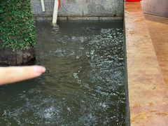 -高家小院铁锅炖大鹅(哈西高铁站店)