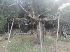 -草庵摩尼教遗址公园