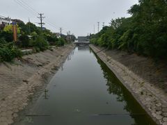 -洪湖生态旅游区