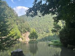 -刘伯温故里景区百丈漈
