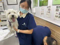 -爱侣宠医·鹦鹉专科·小型哺乳类·异宠专科(灵石路店)