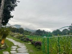 -云禾壹海景庄园餐厅
