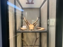 -广东中医药博物馆