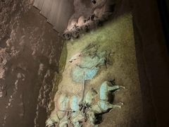 -秦始皇帝陵博物院-丽山园