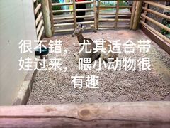 -正佳雨林生态植物园