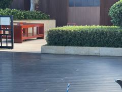 -瑰丽酒店·海吧·天际下午茶·现场DJ·天台酒吧