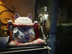 -吉丁鸟咖·异宠·寄养