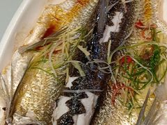 清蒸翘嘴鱼-二厨·吊桥小院·脆皮烧鸡公·本地农家菜(沿江西路店)