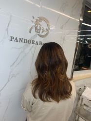 -潘多拉Hairsalon