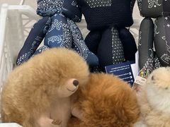 -the balancing(东方店)