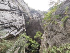 -百色大石围天坑群