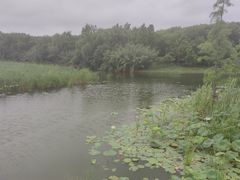 -同里国家湿地公园