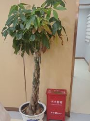-南京康美美容医院·旗舰店