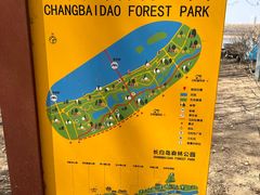 -长白岛森林公园