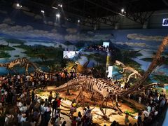 -自贡恐龙博物馆