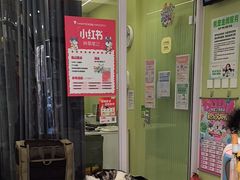 -悦宠动物医院(京丰分院)
