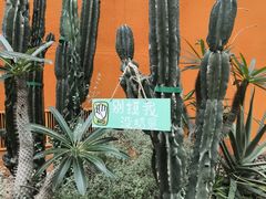 -正佳雨林生态植物园
