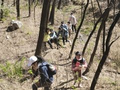 -阳台山自然风景区