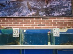 水产区-姜君·千岛湖鱼头馆(浦东大道店)