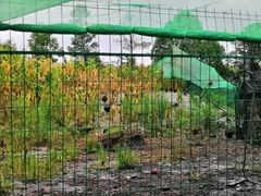 -洪湖家庭农场·团建·露营·会议