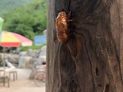 -十渡高山漂流