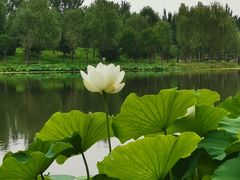 -东郊湿地公园