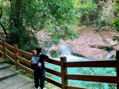 -广州白江湖森林公园