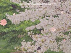 -上海辰山植物园