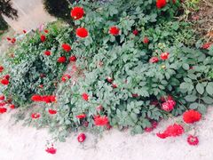 iphone_upload_pic-焦作影视城