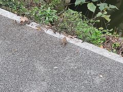 -西南交通大学(九里校区)
